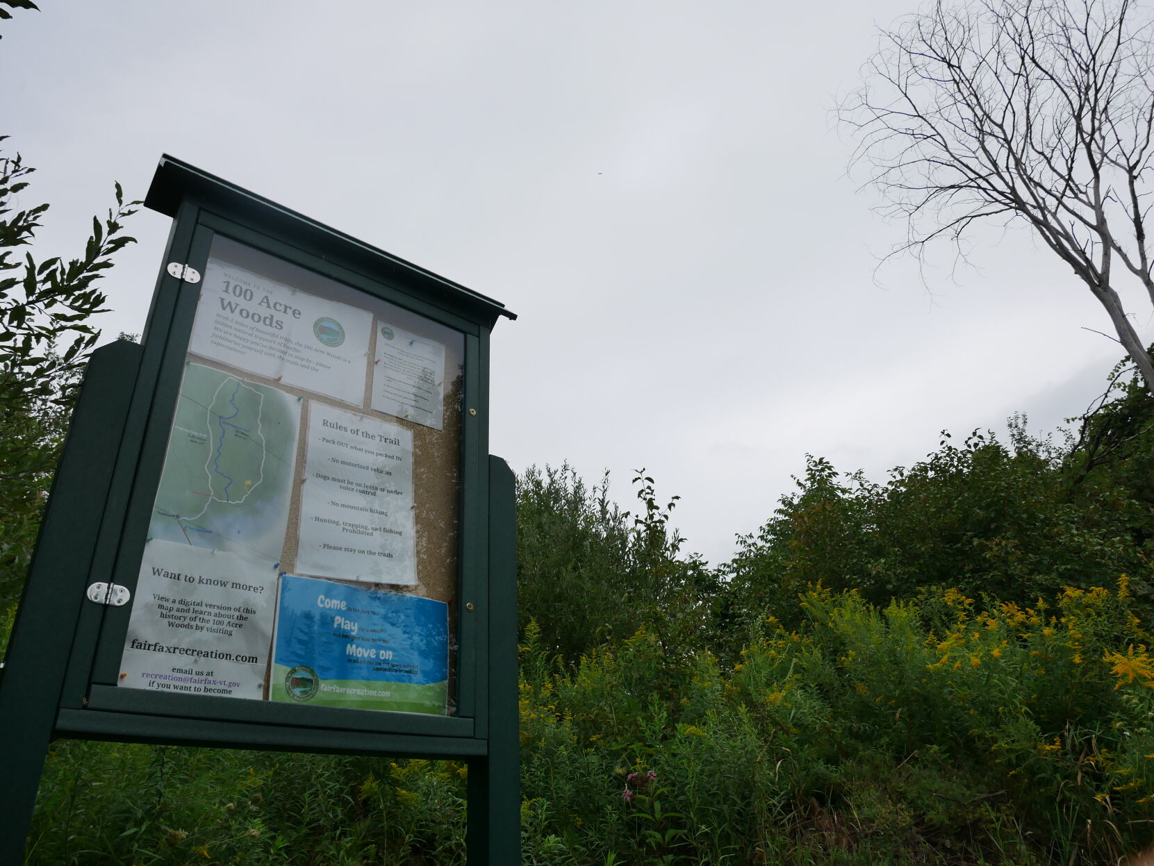 100 Acre Woods, Fairfax, 9-1-2020